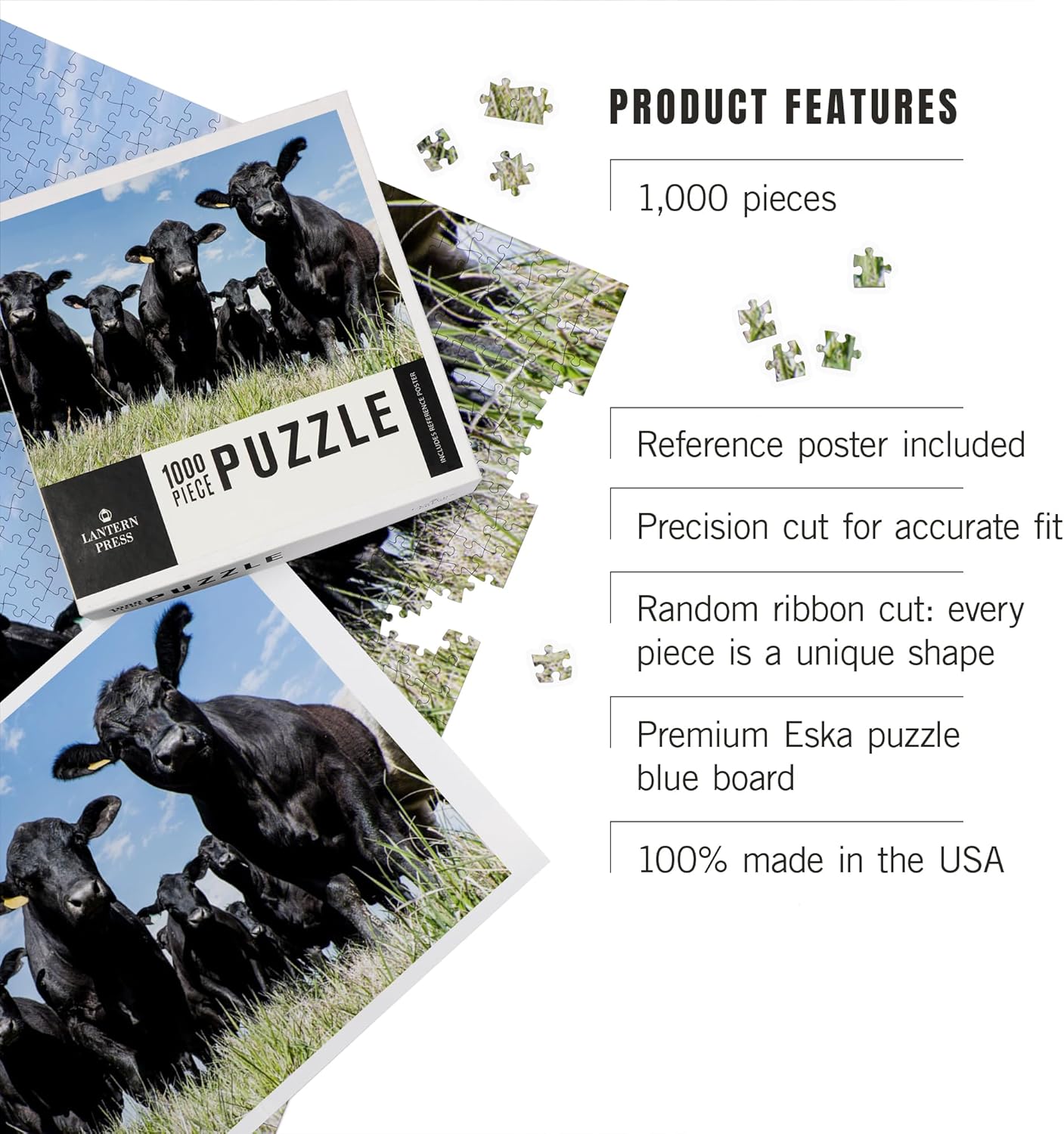 Lantern Press Black Angus Cow Herd Viewed from a Low Angle 1000 Piece Jigsaw Puzzle for Adults, Made in USA with Reference Poster
