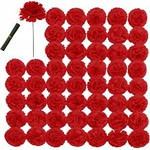 51 Pcs Red Silk Carnation Flowers Artificial 3.5" Fake Heads + 6" Stems for DIY Wedding, Bouquet, Home Decor, Baby Shower