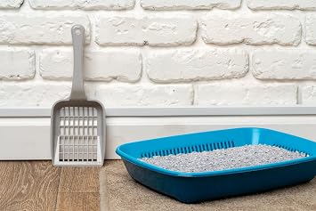 Active Control Plus Aktif Karbonlu Topaklanan Koku Hapseden Tozsuz 8 Lt Kedi Kumu