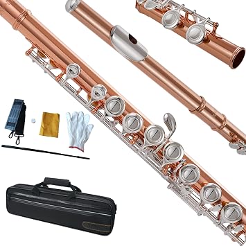 C Flute, Closed Hole 16 Keys, For Students, Beginners and Advanced Players, with Cleaning Kit, Carrying Bag, Strap, Probe Rod, Gloves Silver Plated Keys, Rose Gold Body