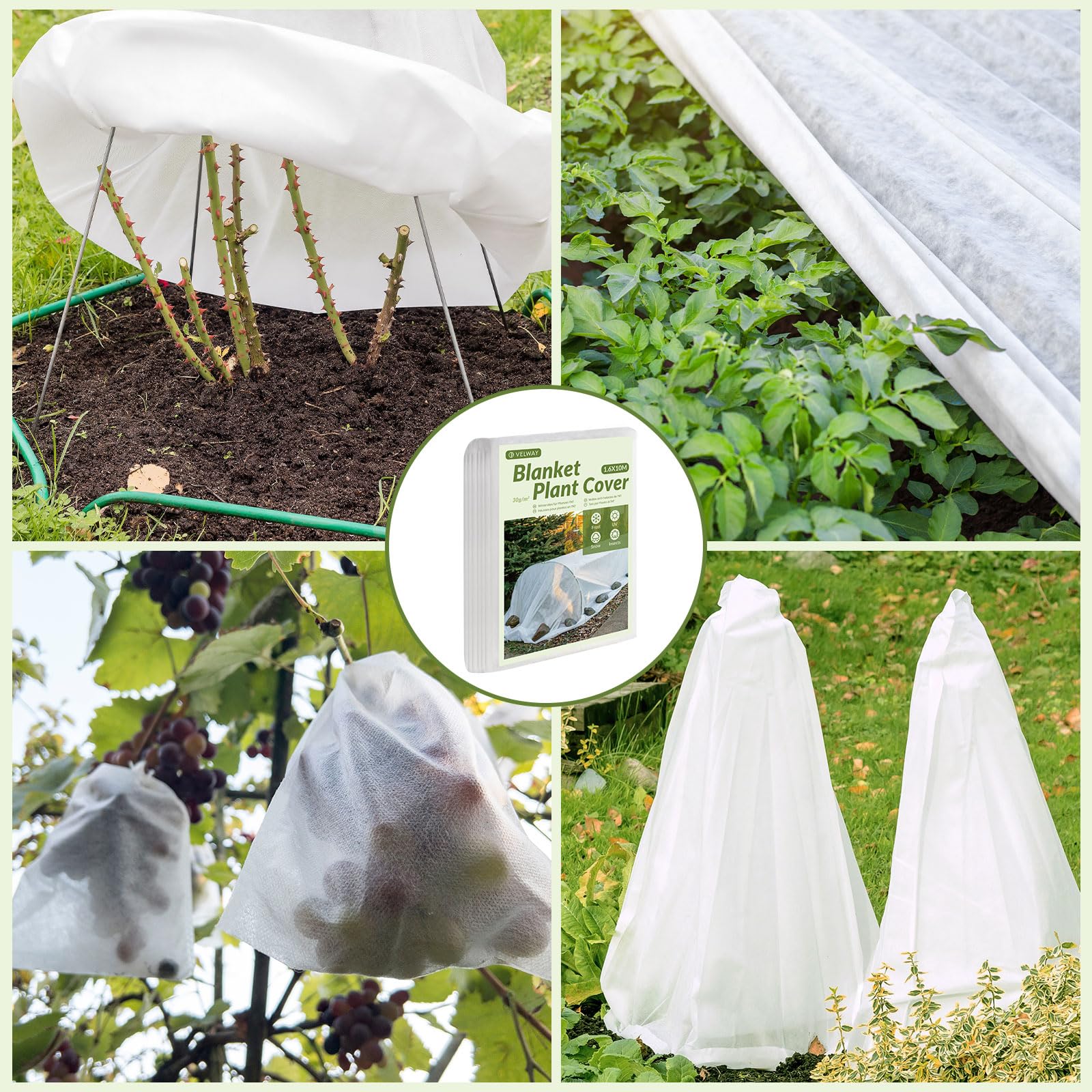 Voile Hivernage Plante Exterieur 1.6x10m Tissu Non tissé 30 g/m² Housse Protection Blanche