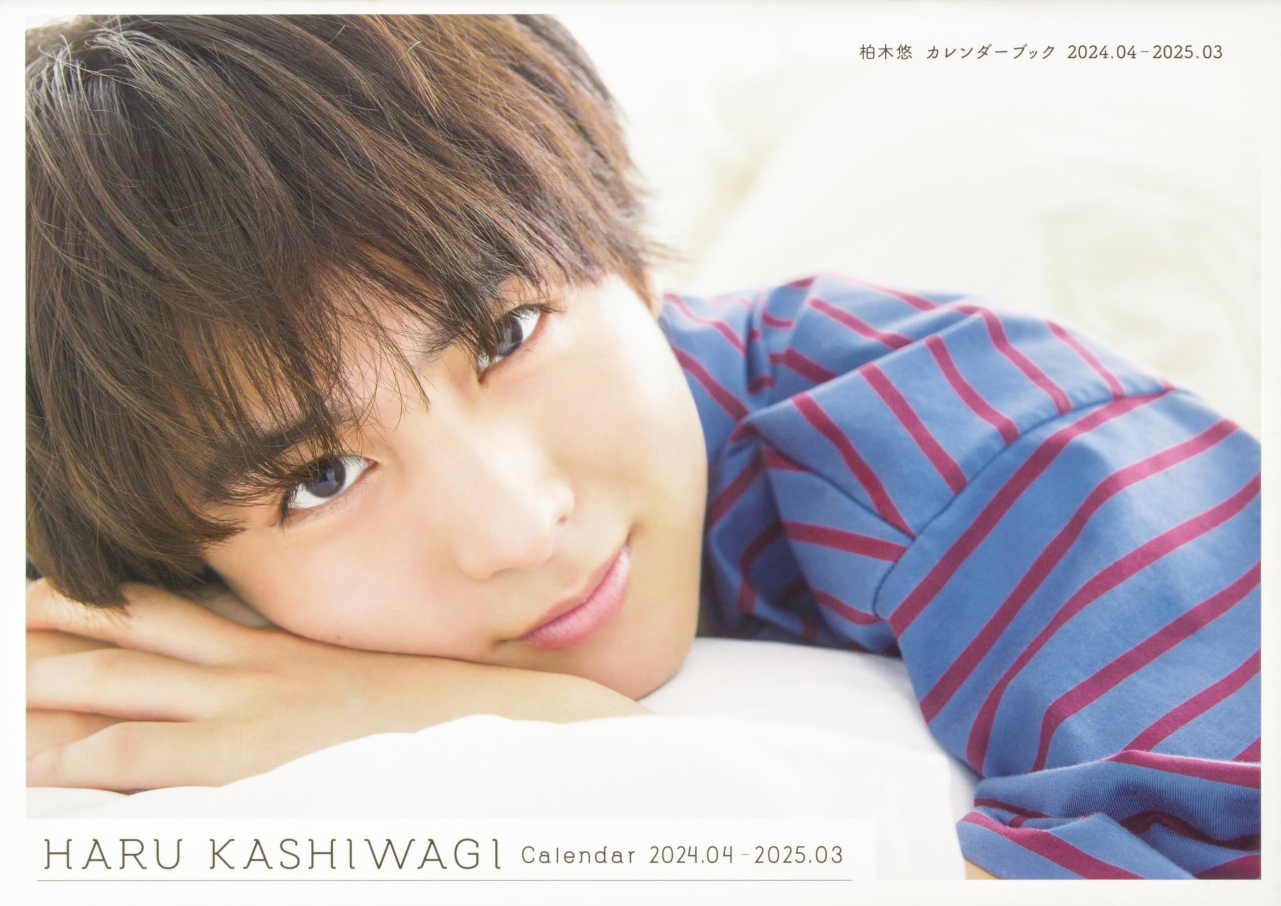 Amazon.co.jp: 柏木悠 カレンダーブック 2024.04-2025.03 ([カレンダー