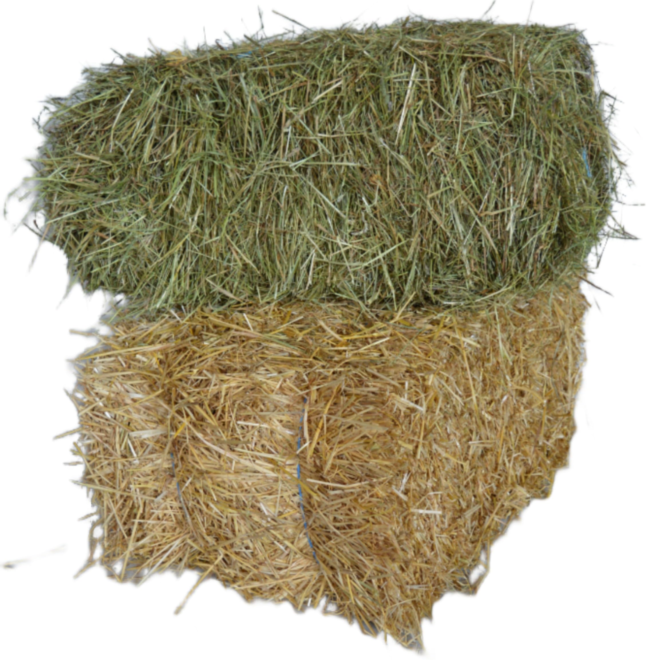 agrar-Store - 10 kg de paja + 10 kg de heno – Combinación de heno + paja – paja de heno para conejo, cobaya, heno de conejo, heno cobaya, heno cosecha 2023