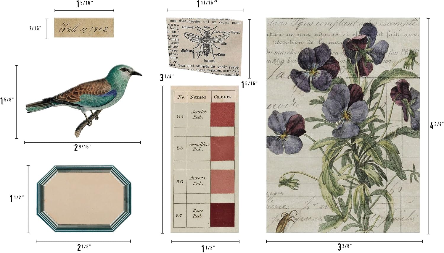 Bundle- Tim Holtz Idea-Ology Transparent Things 2 th94327 and Transparent Layers th94326 2023 Release advantus