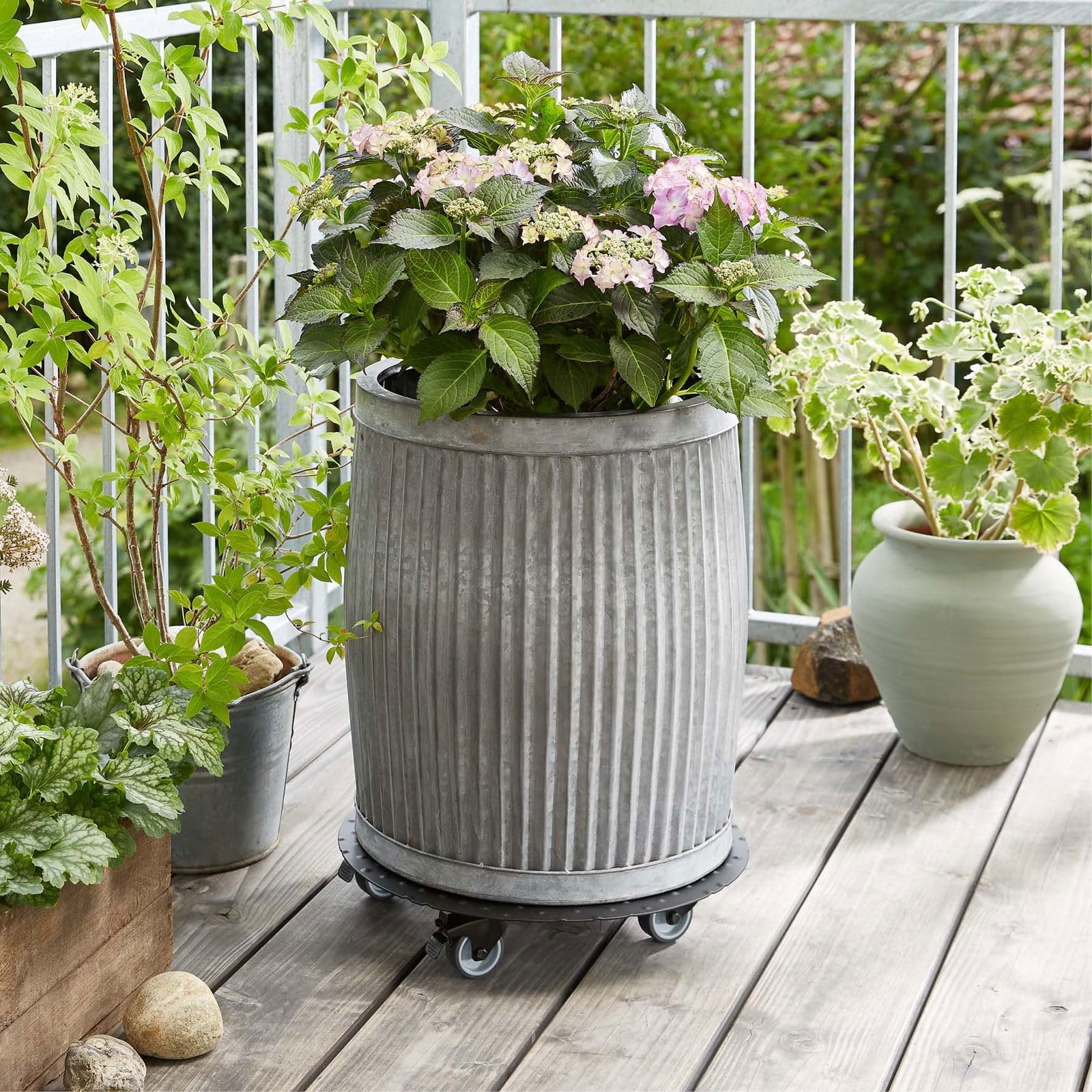 WAGNER Support à roulettes pour pot de fleur ALASKA BLACK Ø 38 x 7,5 cm I intérieur + extérieur I Roule pot en aluminum revêtu I 2 freins I Capacité de charge 150 kg I Made in Germany - 20700601