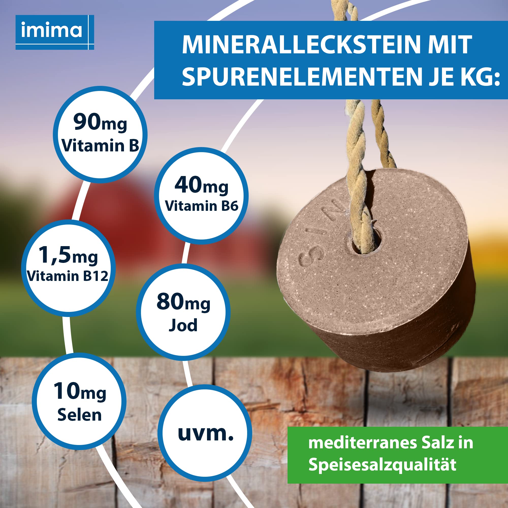 Mineralleckstein Pferd PROBIOTIC Salzleckstein Set 2 x 3kg