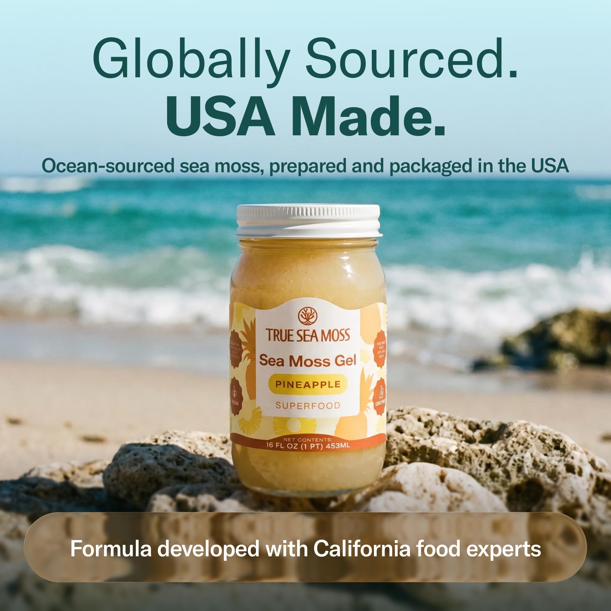 Amazon.com : TrueSeaMoss Sea Moss Gel – Wildcrafted Seamoss