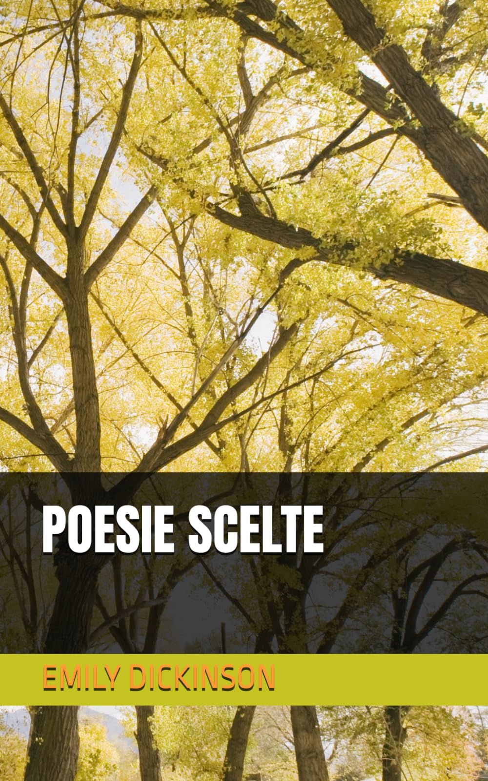 POESIE SCELTE