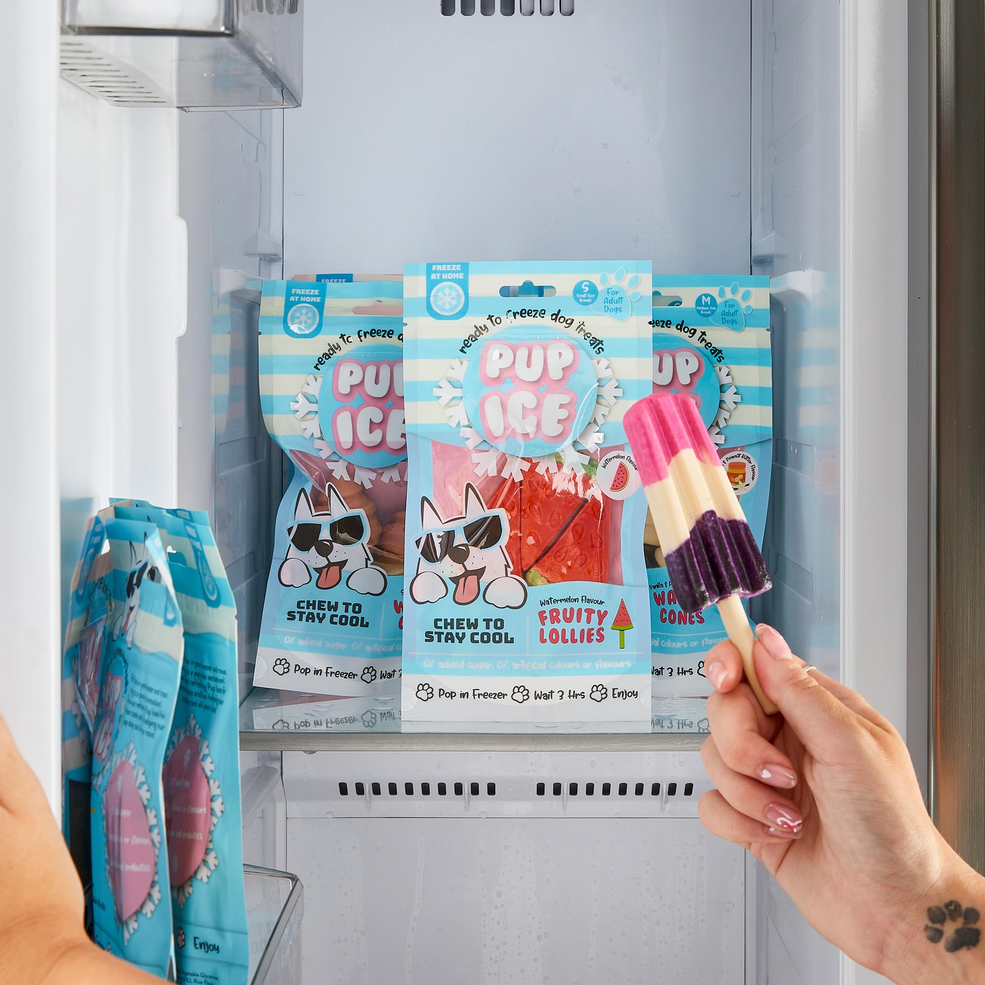 Amazon.com : SPOT Pup Ice- Ready to Freeze at Home Dog Treats