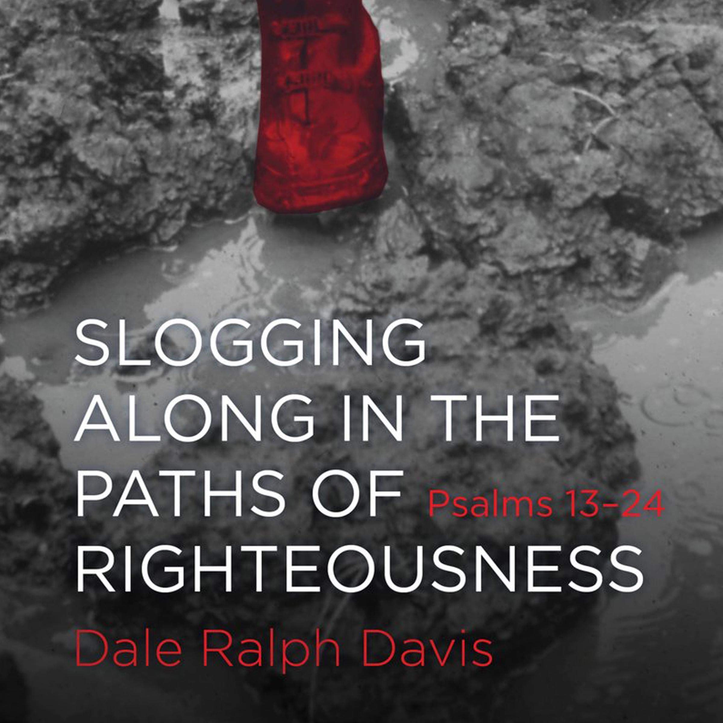 Slogging Along in the Paths of Righteousness