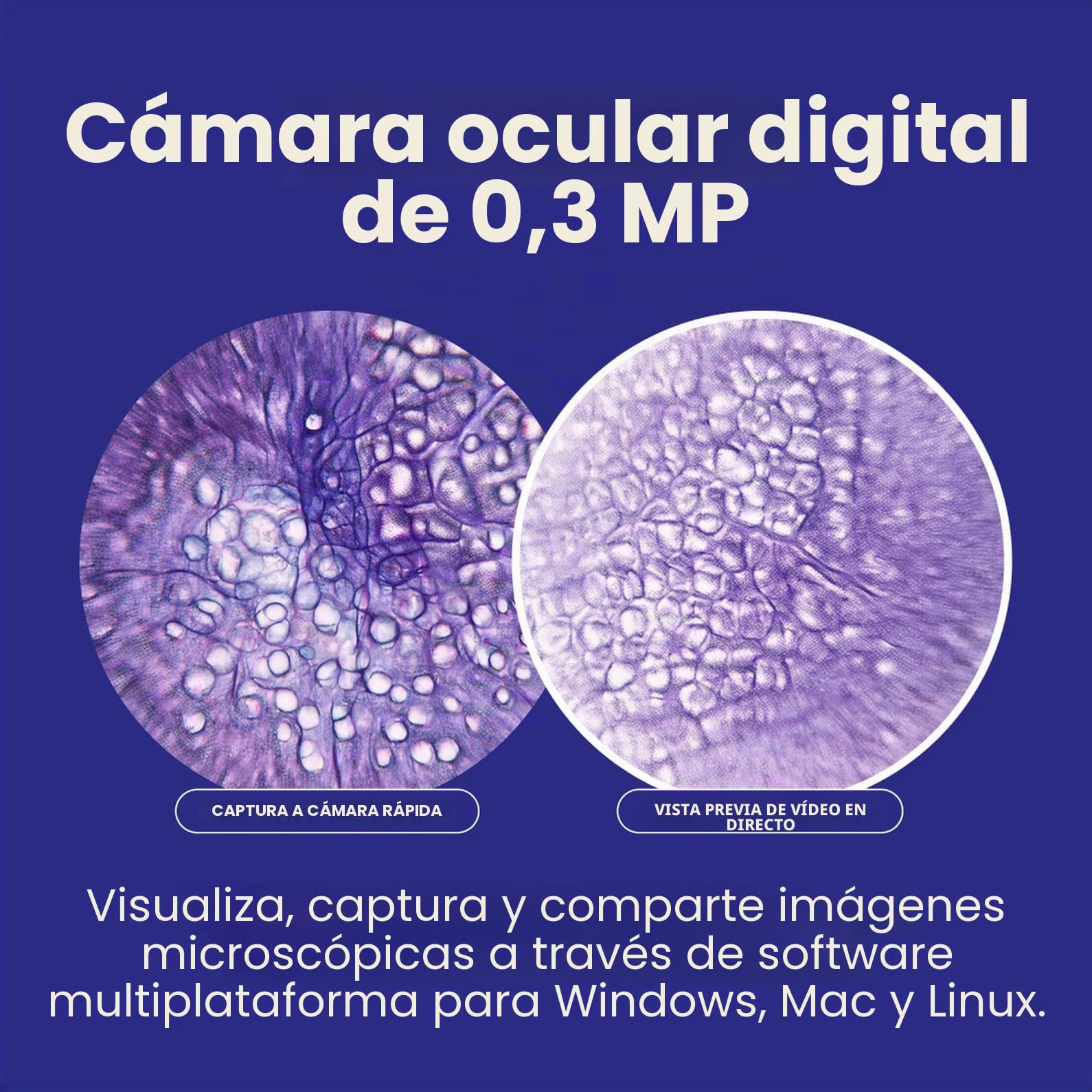 AmScope B120C-E 40 x 2500 x Microscopio Binocular Compuesto digital LED con 3D Etapa Plus Usb de la c-mara