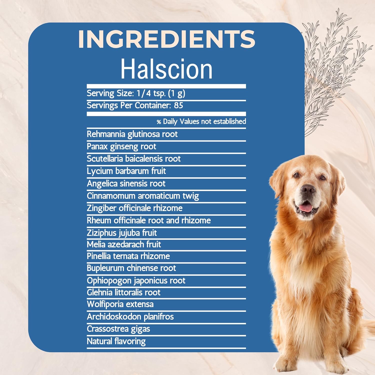 Halscion Cognitive Support and Stress Relief for Dogs by Gold Standard Herbs, All Natural Rehmannia Combination, 85 gram Powder, White