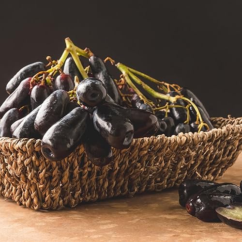 Miniatura 5 de CHUXAY GARDEN Mezcla de semillas de uva de dedo de bruja, 50 semillas, vid trepadora de uva sin OMG, regalos de jardinería de frutas dulces de alto