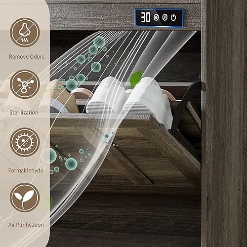 Miniatura 3 de ChooChoo Armario de almacenamiento de zapatos con 2 cajones abatibles, organizador de zapatos desodorizante para entrada, gabinete independiente