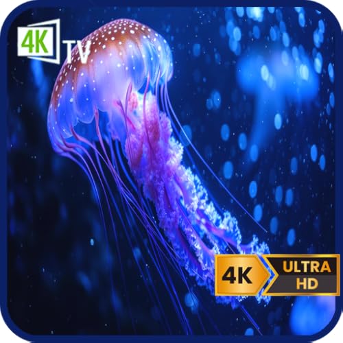 Sleep Tank: Jellyfish-Jellyfish Aquarium for Mindful sessions or Sleep
