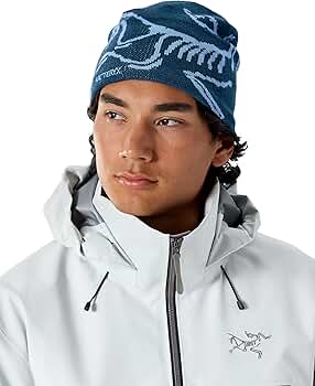 Amazon | [アークテリクス] ARCTERYX バードヘッドトーク X000006756