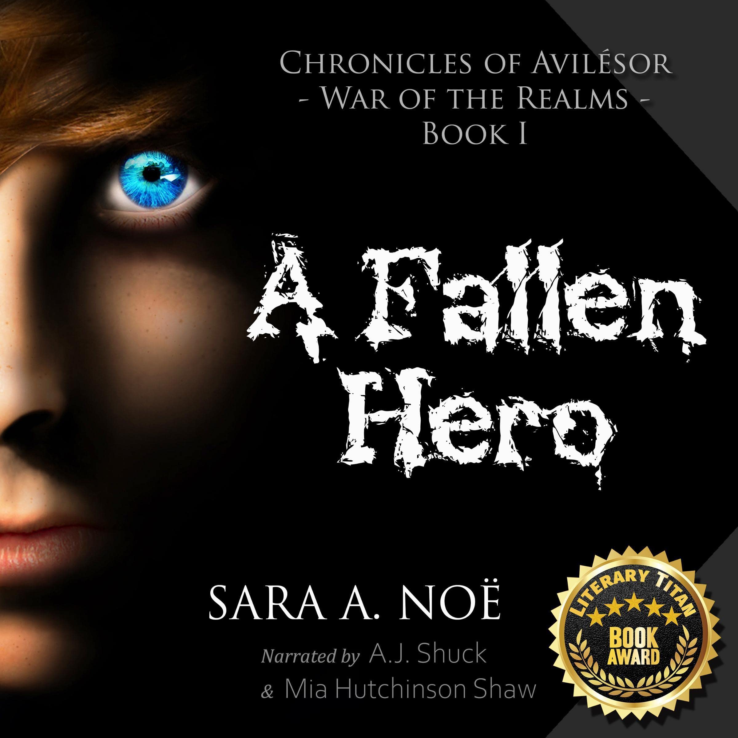 Cover art for A Fallen Hero