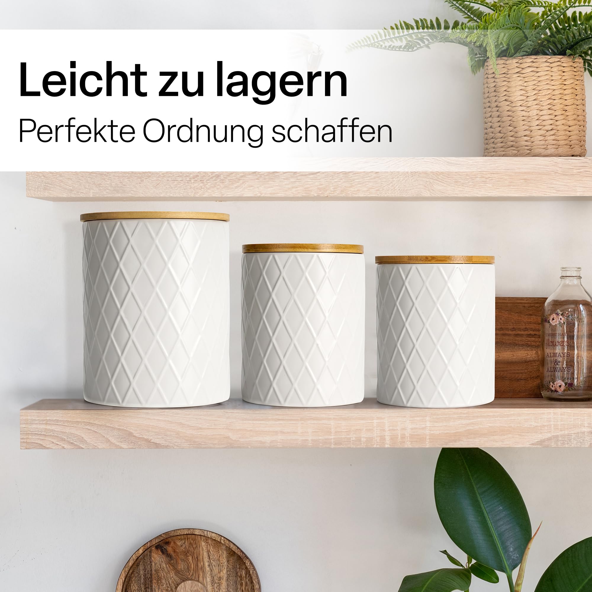 MIAMIO - Vorratsdosen Set 6 / Keramikdosen für Küche - Palmanova (Weiß) | Keramik-Vorratsdosen mit luftdichten Holzdeckeln für Kaffee, Tee, Zucker, Mehl und Salz zur Küchenaufbewahrung zu Hause