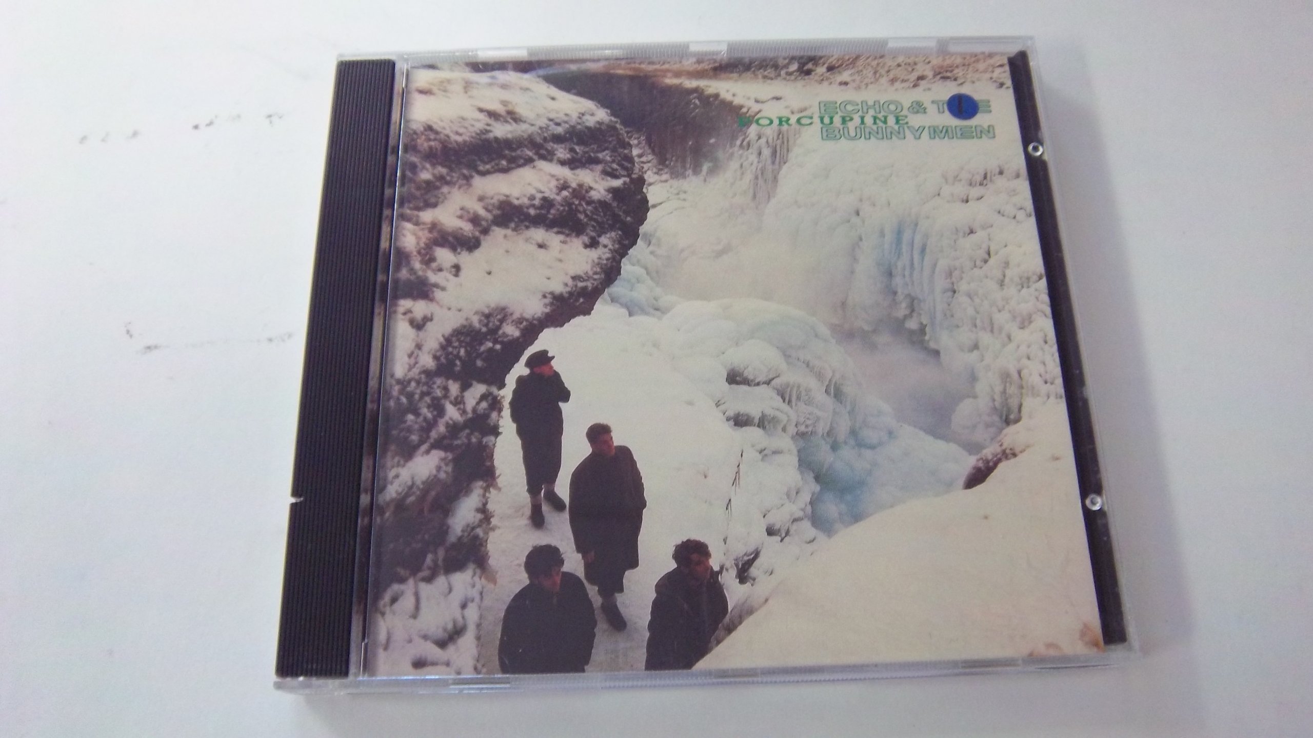 Porcupine [Audio CD]