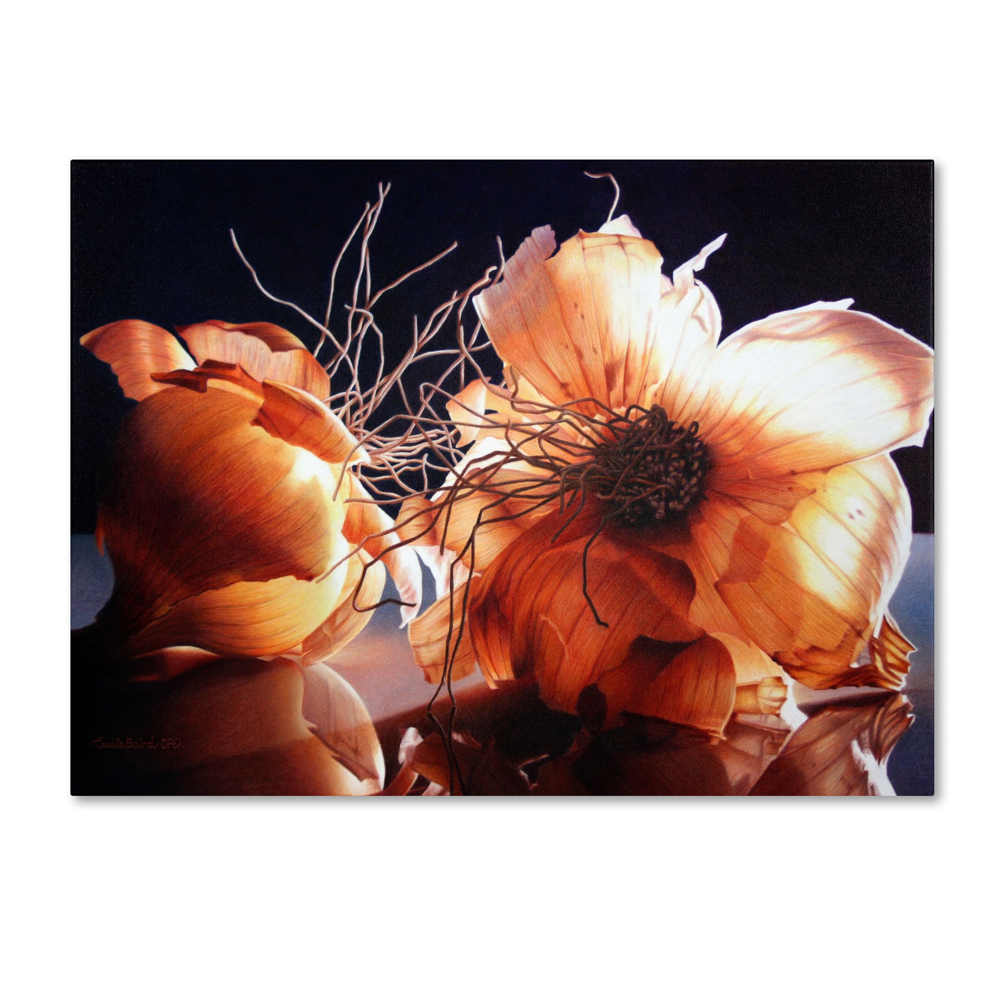 Don't Cry for Me by Cecile Baird, 18 by 24-Inch Canvas Wall Art