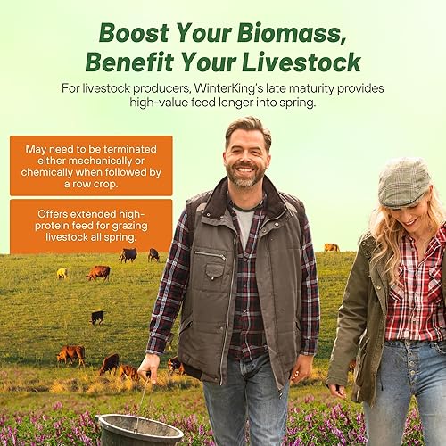 Miniatura 6 de Outsidepride Hairy Vetch - Semillas de leguminosas de forraje, pasto, heno y cobertura - 1 onza