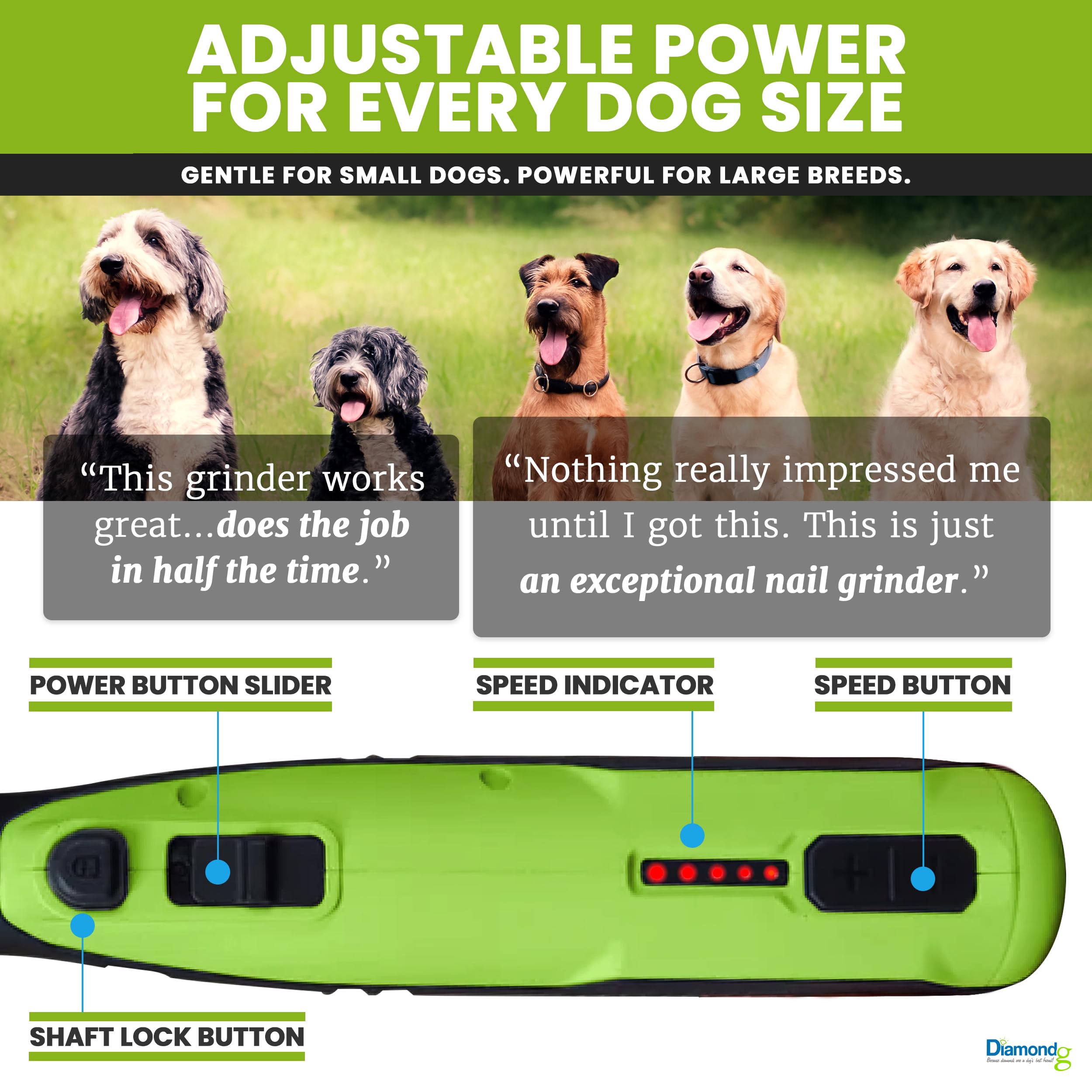 Outil rotatif pour meulage des griffes de chien, sans fil, batterie lithium-ion 8 V, pointe éclairée, autonomie de 4 heures (vert)