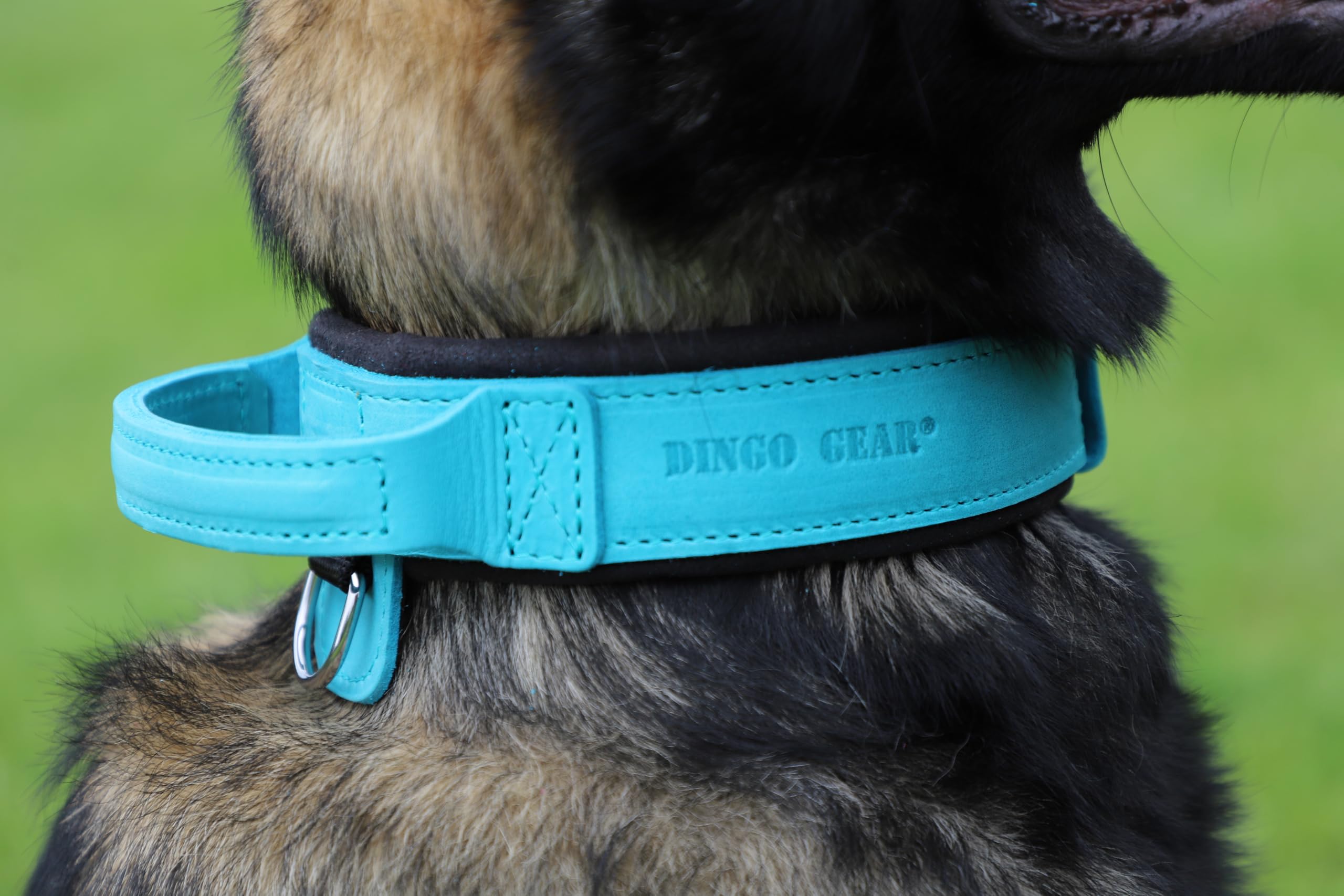 Dingo Gear Collar para Perro Drago de Cuero, Amortiguado con Asa Ancha y Fuerte, Hecho a Mano, Circunferencia del Cuello 40-48 cm, para Entrenamiento y Paseos, Marrón (S03910)