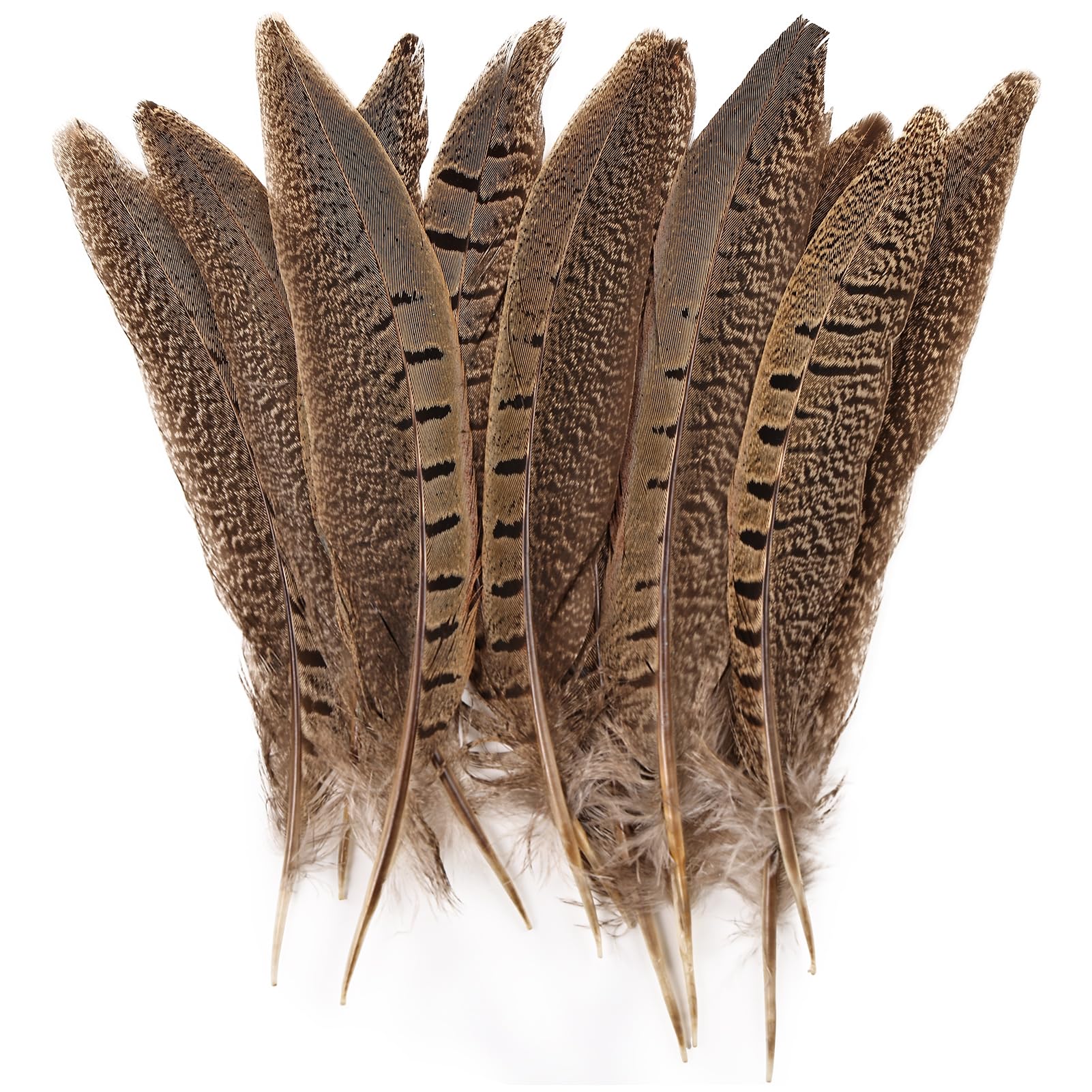 FeelfunFeather 5pcs Pheasant Feather 6-8inch 15-20cm Natural Male Ringneck Tails Feathers for DIY Crafts Home Wedding Party Carnival Decoration