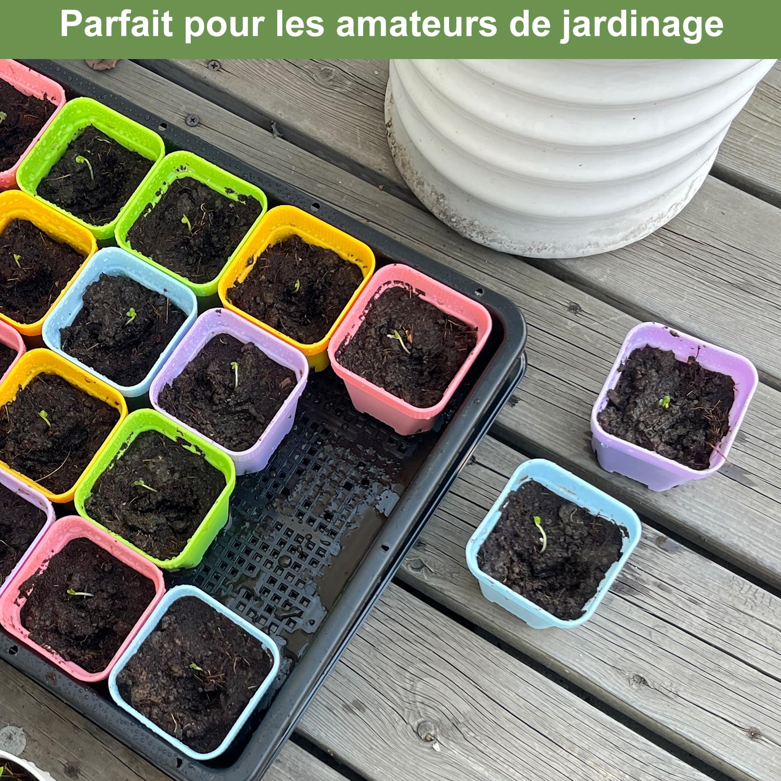 BeGrit Plateau de Semences Lot 10 Plateaux Semis Potager 37x30 cm Bac à Semis de Jardin pour Graines à Germer Micro-pousses & Germination Plateaux de Culture Rectangulaires Légume pour Fruit Plantes