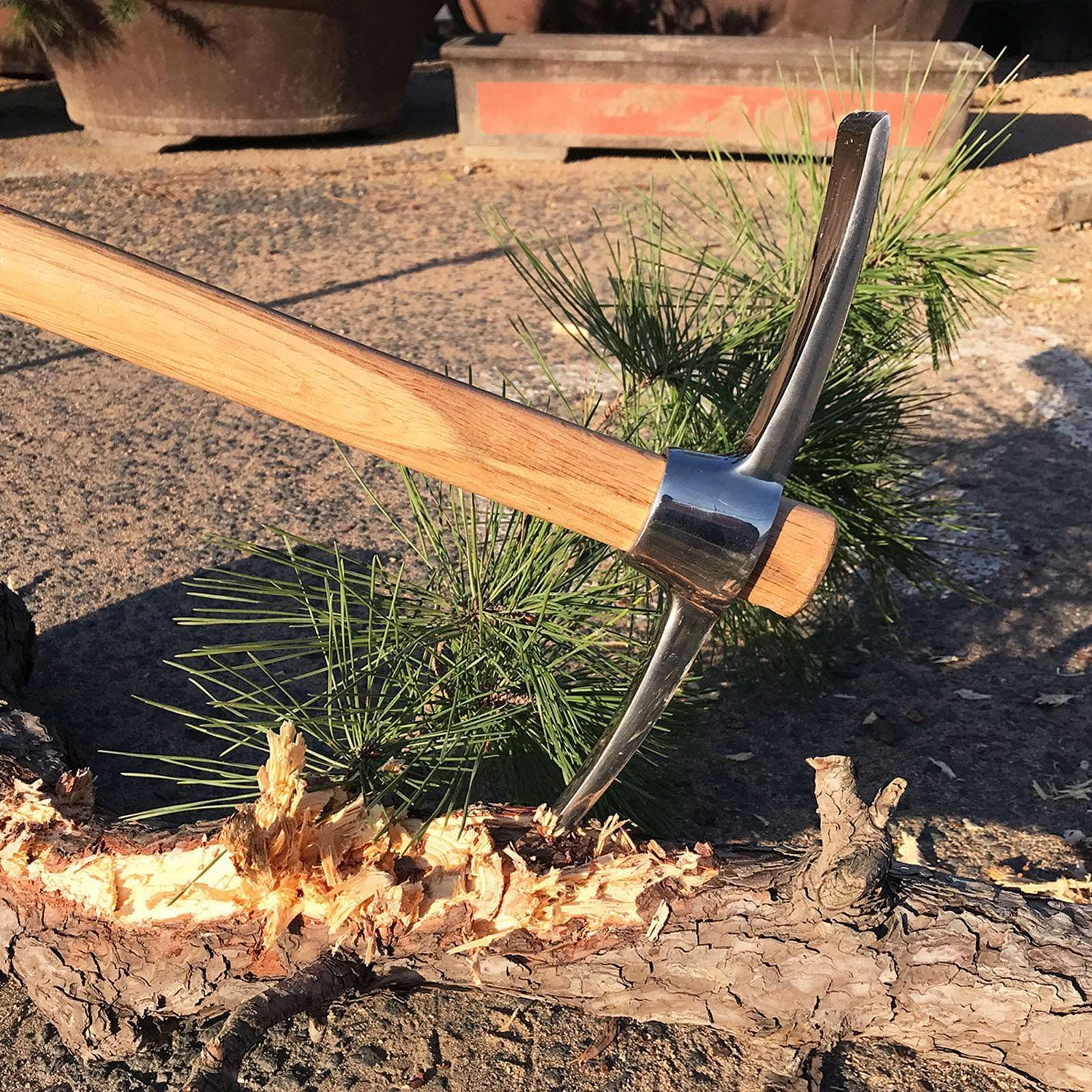 Kreuzhacke 45 cm Edelstahl Gesteinsfleck Pickaxes Spitzhacke Doppelhacke Mattock Hacke mit Holzgriff, Pick Axt Handwerkzeug zum Transplantieren der Pflanzung des Lösens von Boden