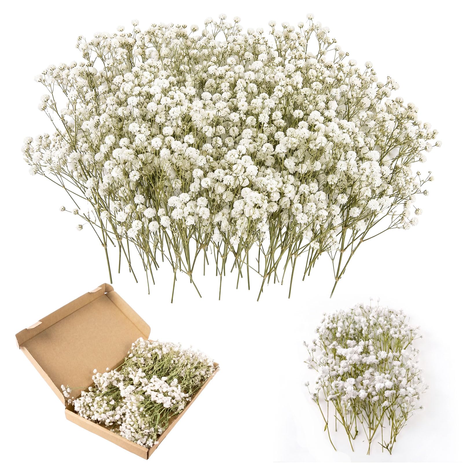 120 Pcs Dried Flowers, Natural Baby Breath Flowers Bouquet for DIY Crafts