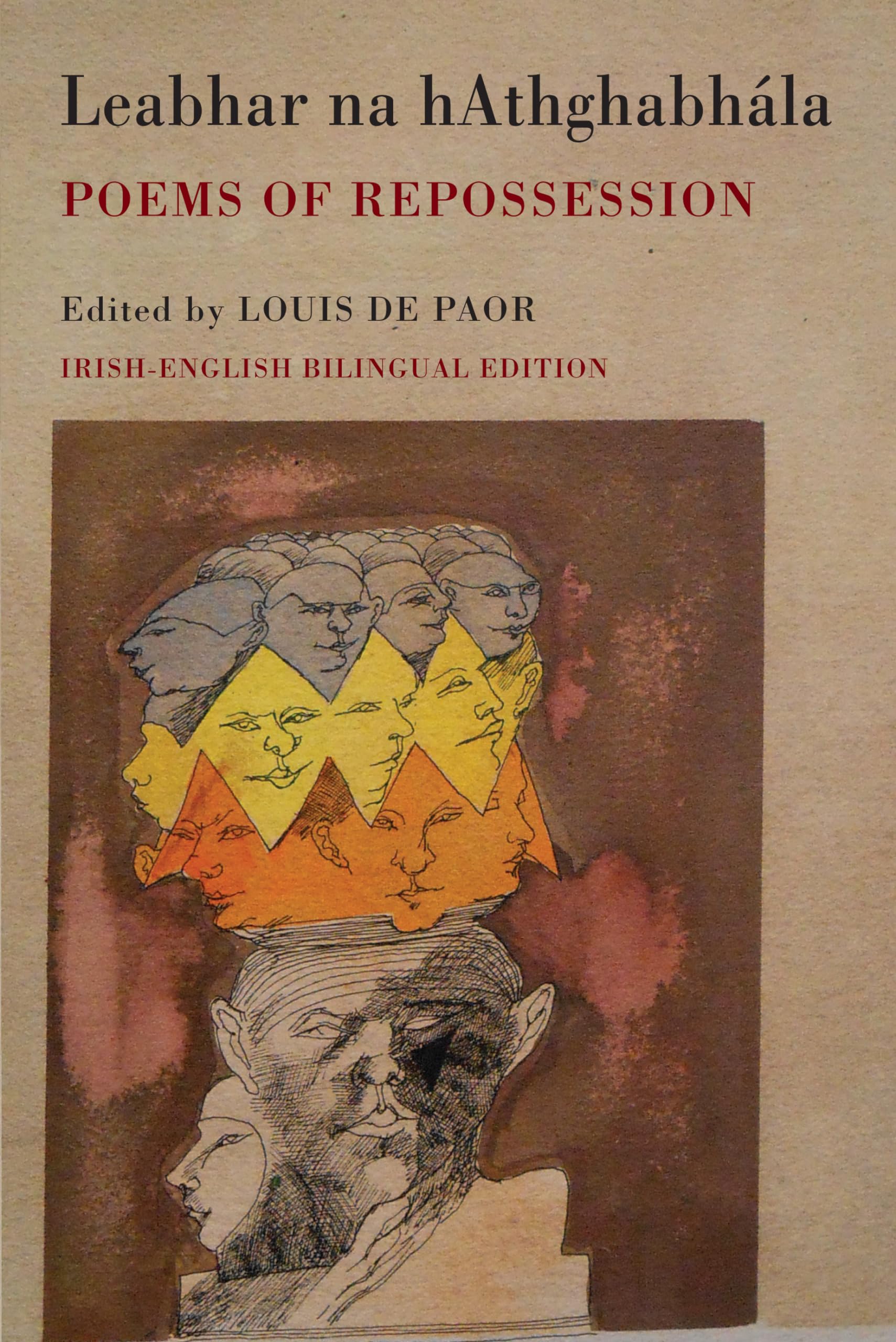 Leabhar Na HAthghabhála : Poems of Repossession by Louis de Paor (2016, Trade...