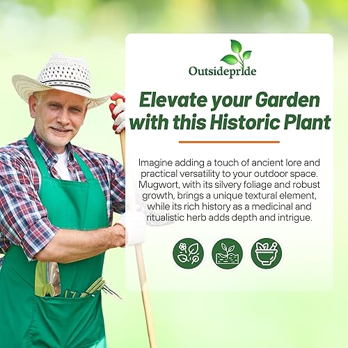 Miniatura 5 de Outsidepride Mugwort - 5000 semillas