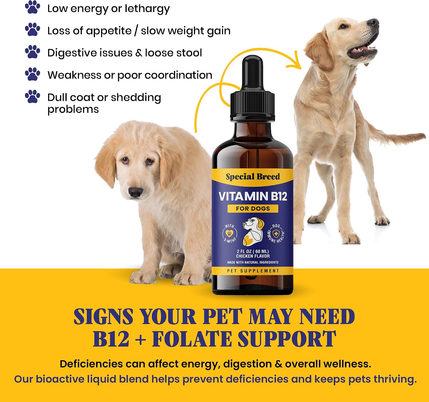 Liquid Vitamin B12 for Dogs – Energy Appetite Mood & Immune Support Chicken Flavor 2 fl oz