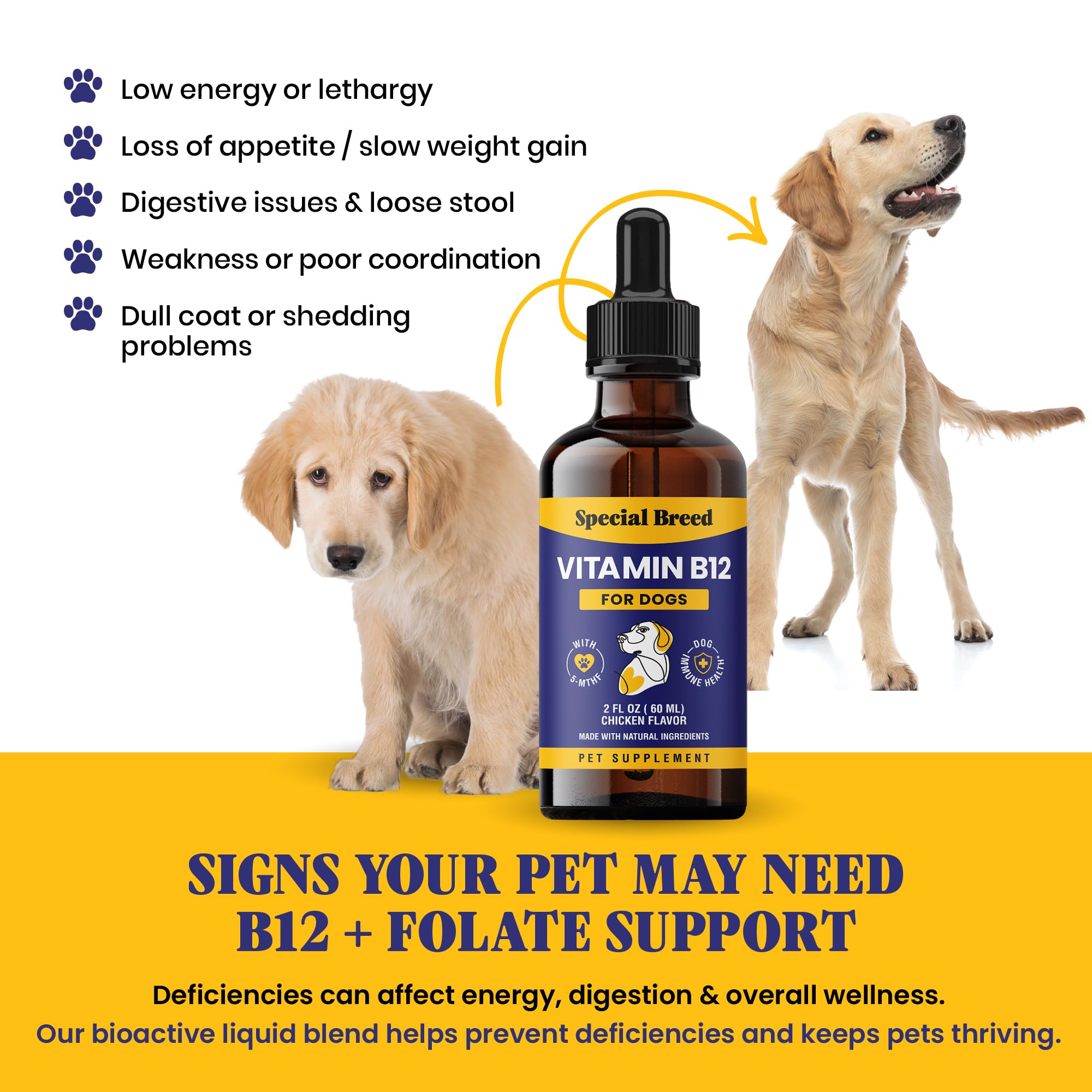 Special Breed Liquid Vitamin B12 for Dogs – Methylcobalamin and 5-MTHF – Boosts Energy, Appetite, Mood & Immune System Support, Easy-to-Use Dropper - Chicken Flavor, 2 fl oz — Amazon image 4
