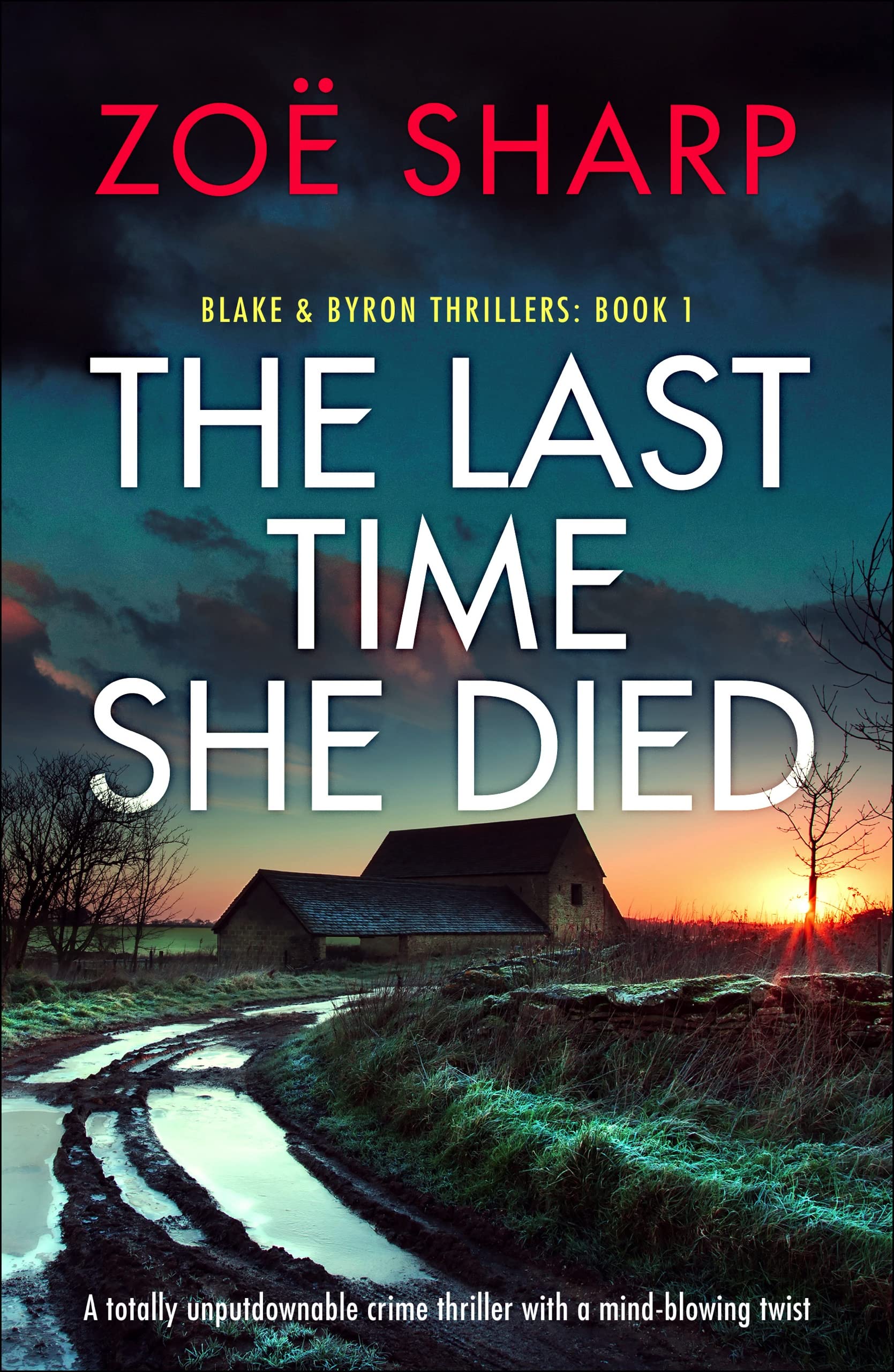 The Last Time She Died: A totally unputdownable crime thriller with a mind-blowing twist