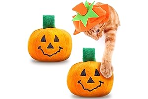 Pumpkin Kitty: The Perfect Holiday Treat for Your Feline Friend