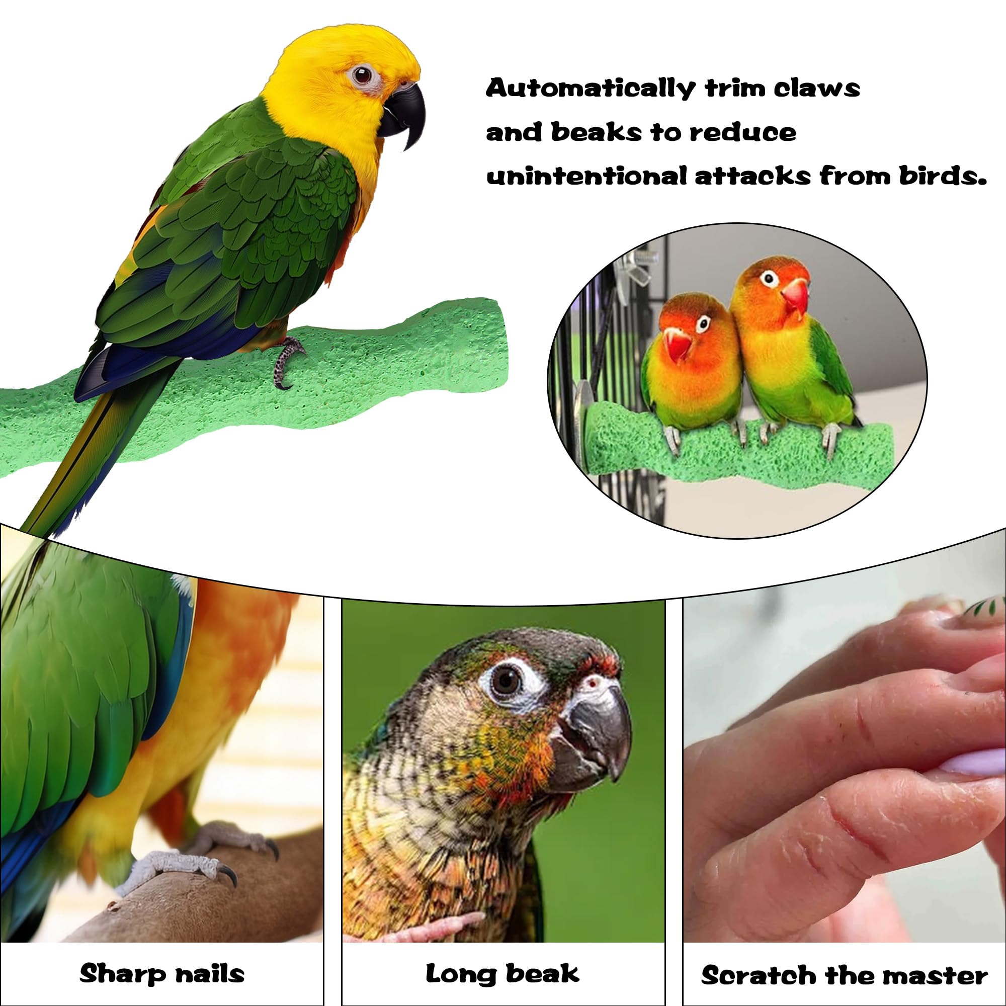 3 Pcs Bird Perches,Colorful Rough Birdcage Parrot Scrub Stand Bar Paw Scrub Perch Platform Grinding Stick Stand Bird Cage Accessories for Birds Parrot Budgies Parakeet Cockatiels Conure Lovebird - Image 3