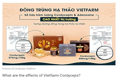 What are the effects of Vietfarm Cordyceps? How to use, how much is the price?