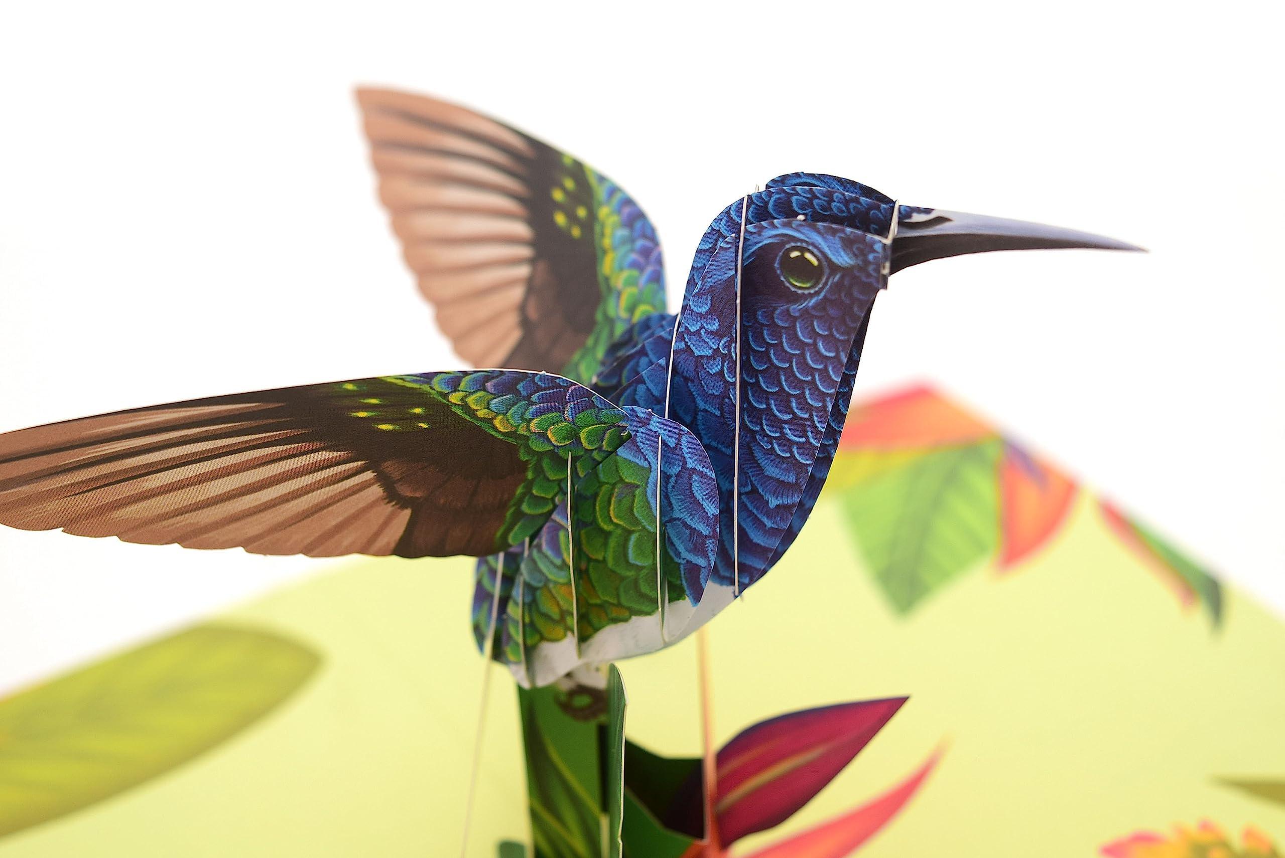 Carte Pop Up Motif Prairie Et Colibri – Carte D'Anniversaire Fleurie