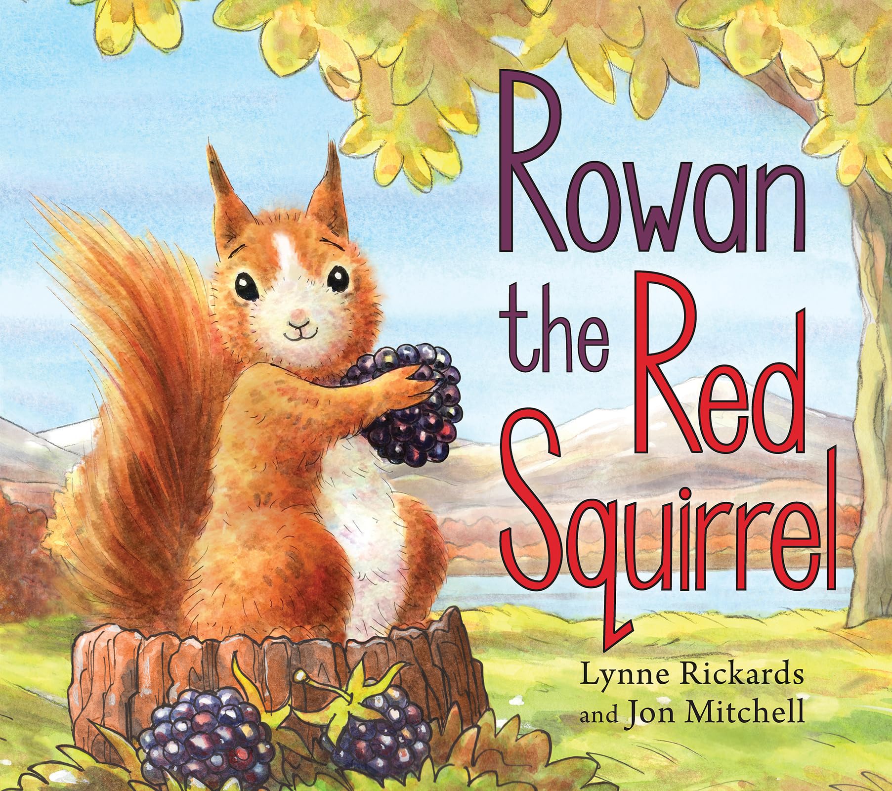 Rowan the Red Squirrel (Picture Kelpies). Rickards, Mitchell 9781782504771**