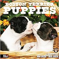 Vista 60 de RED EMBER Calendario de pared 2025 con diseño de cachorros de 12 meses, 12 x 24 pulgadas, abierto, papel grueso y resistente, para regalo