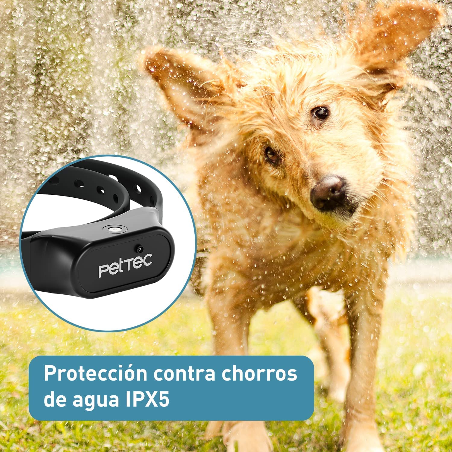 PetTec Collar Antiladridos Perros con Señal Pulverizada automática, Incluye Aerosol con Fragancia de Limón, Adiestramiento para Acabar con los Ladridos de Perros Grandes y pequeños