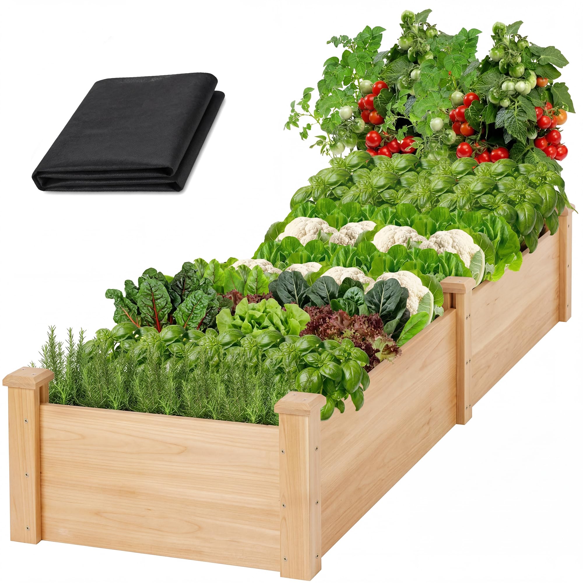 ZSYWODFO 8x2ft Raised Garden Bed
