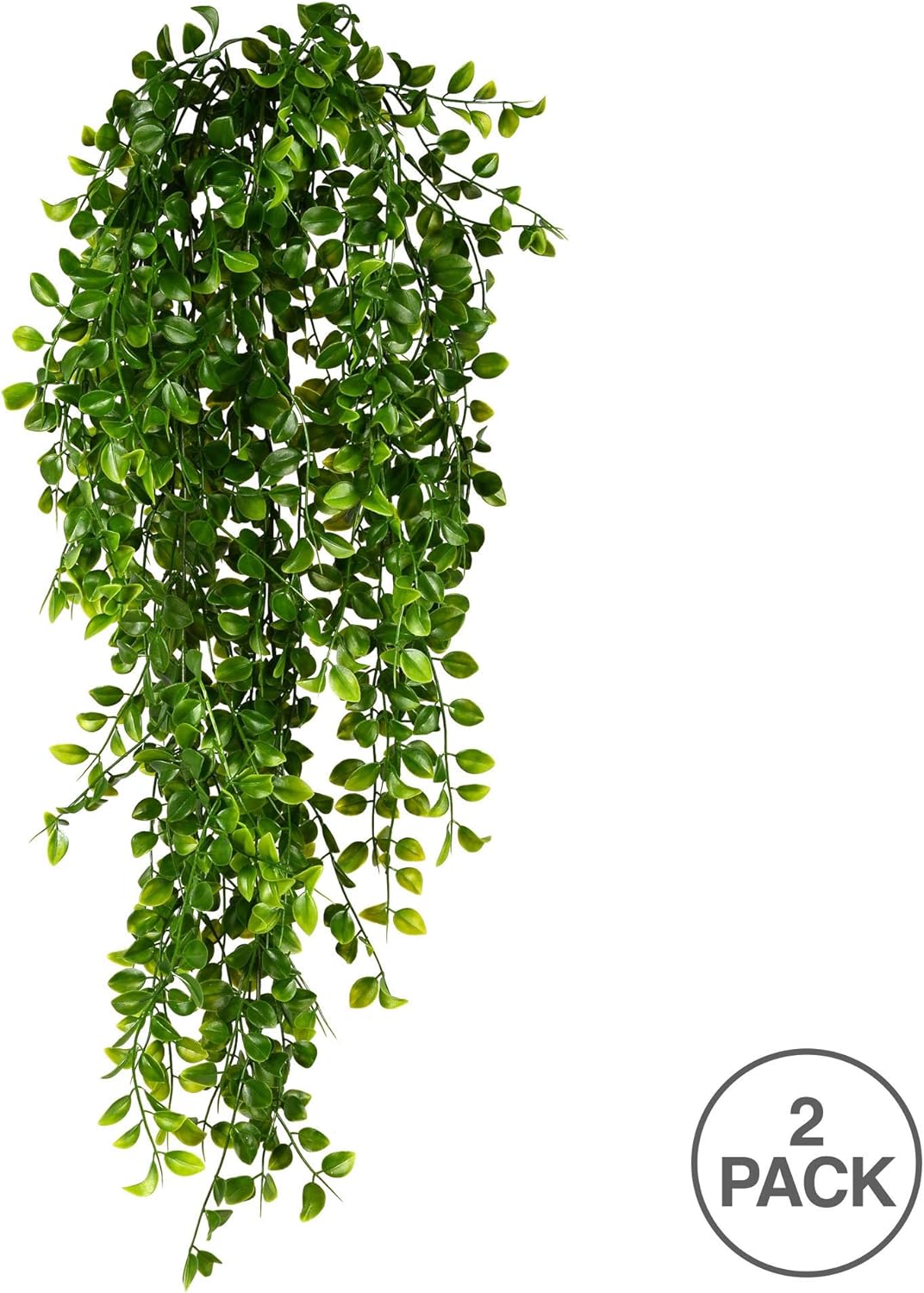Vickerman Everyday 31" Artificial Green Mini Leaf Hanging Bush UV Resistant 2 Pack - Faux Indoor Outdoor Decorative Plant - Greenery for Home Or Office Decor - Maintenance Free