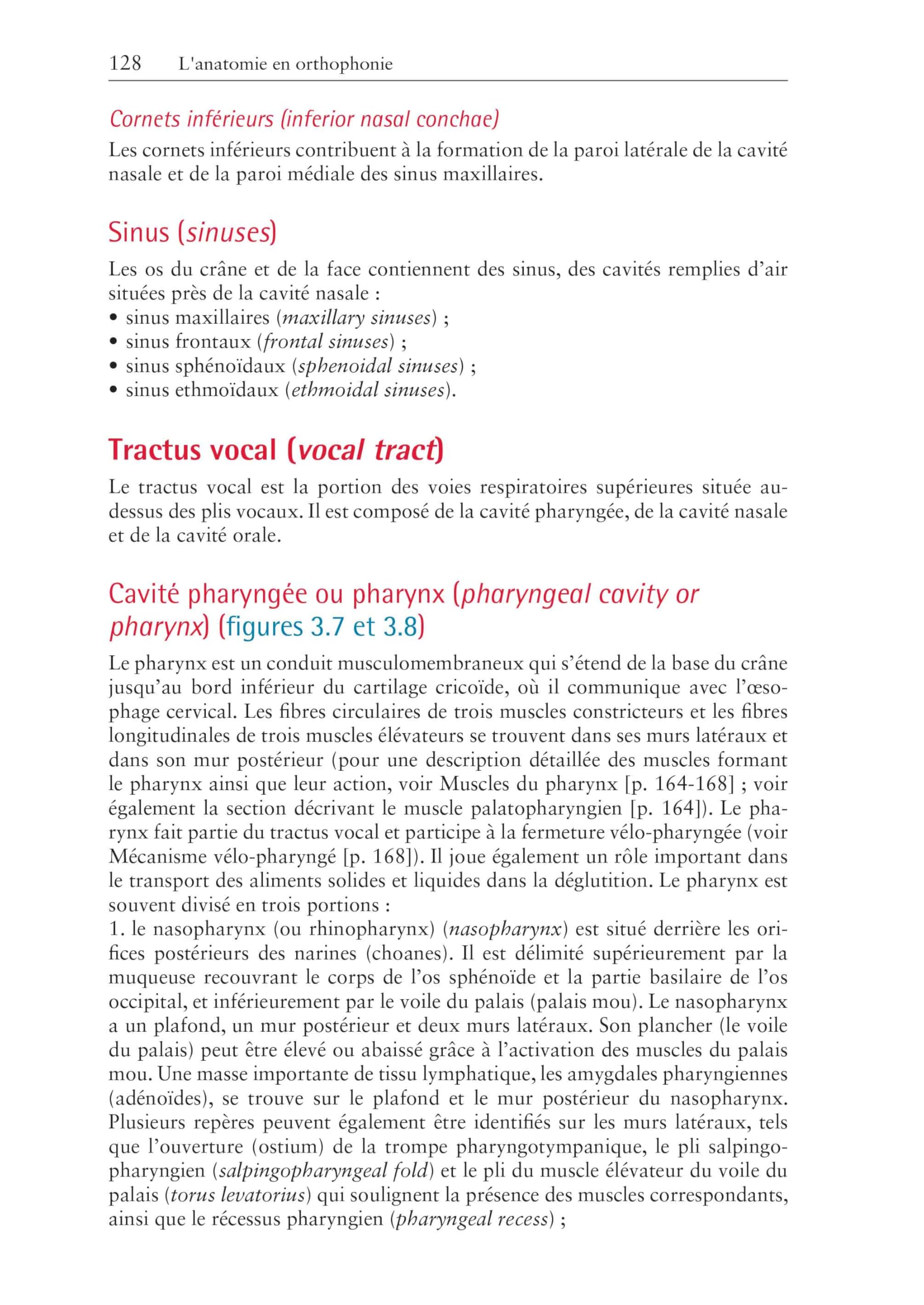 L'anatomie en orthophonie: Parole, déglutition et audition