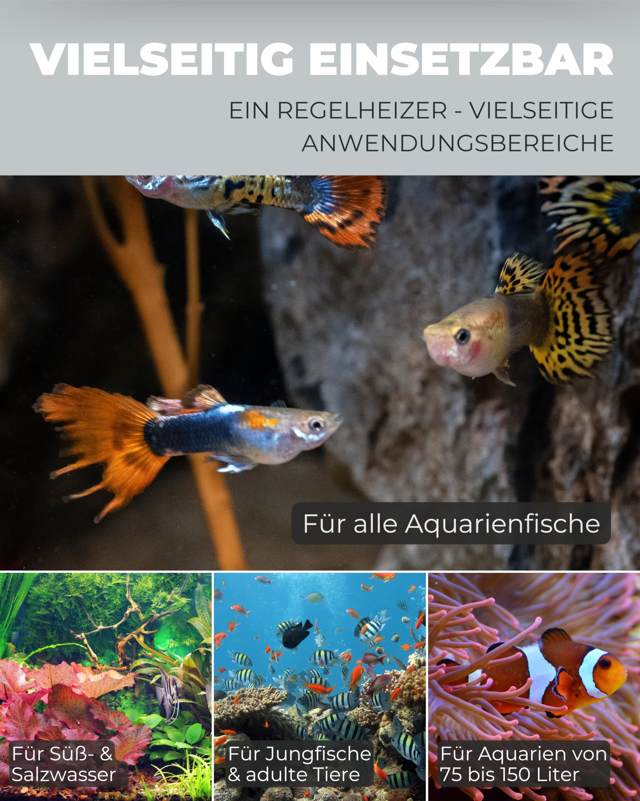 Dupla Heat Up 100 I 100 Watt Regelheizer für Aquarien I Aquarienheizer für Aquarien bis 150 L I energieeffizient und zuverlässig I Aquarium Heizstab I geeignet für Süßwasser- und Meerwasseraquarien