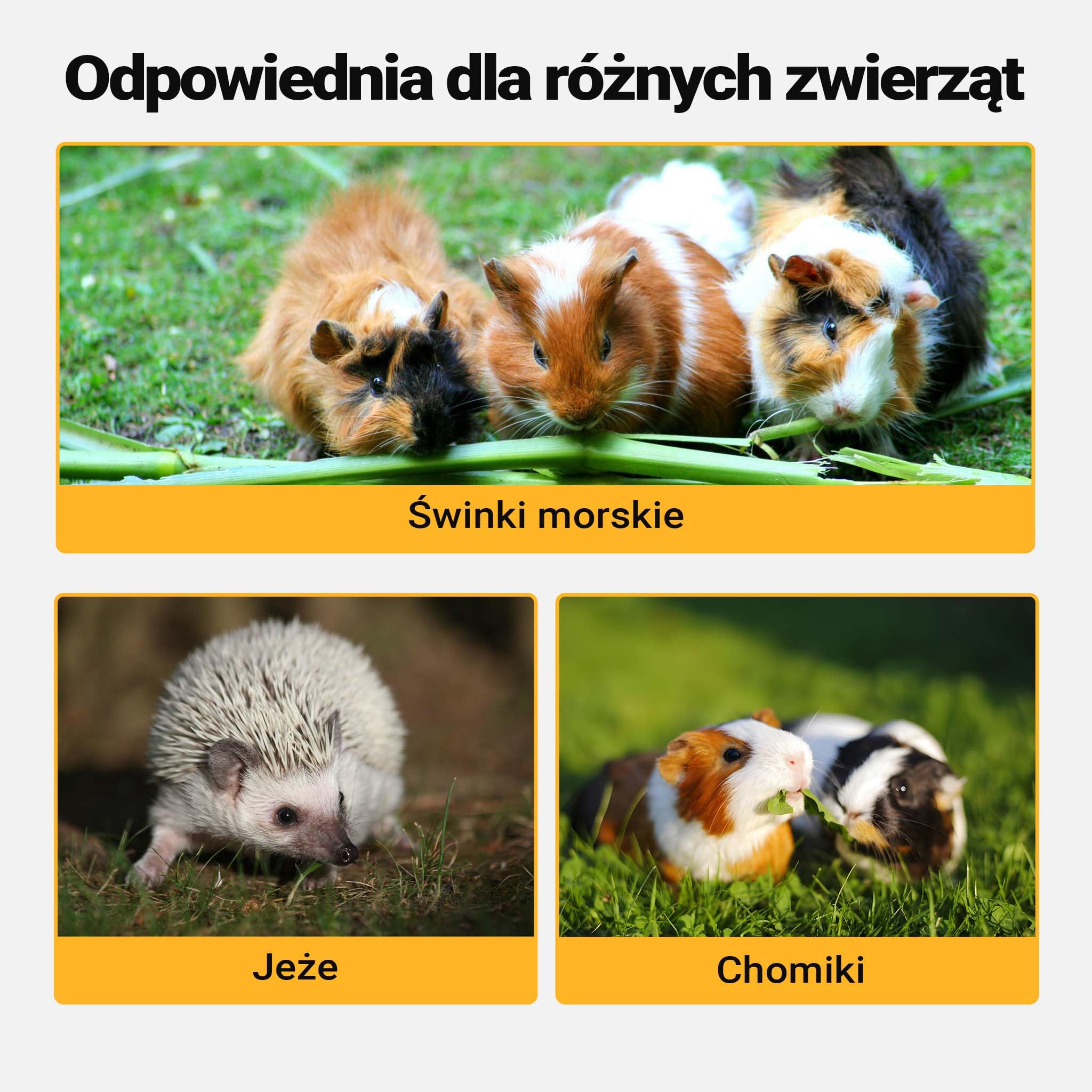 Wiltec 3-poziomowa klatka dla gryzoni, 600 x 400 x 800 mm, wykonana z drewna, z pokrywą na zawiasach i okienkiem, klatka dla małych zwierząt klatka dla myszy klatka dla chomika
