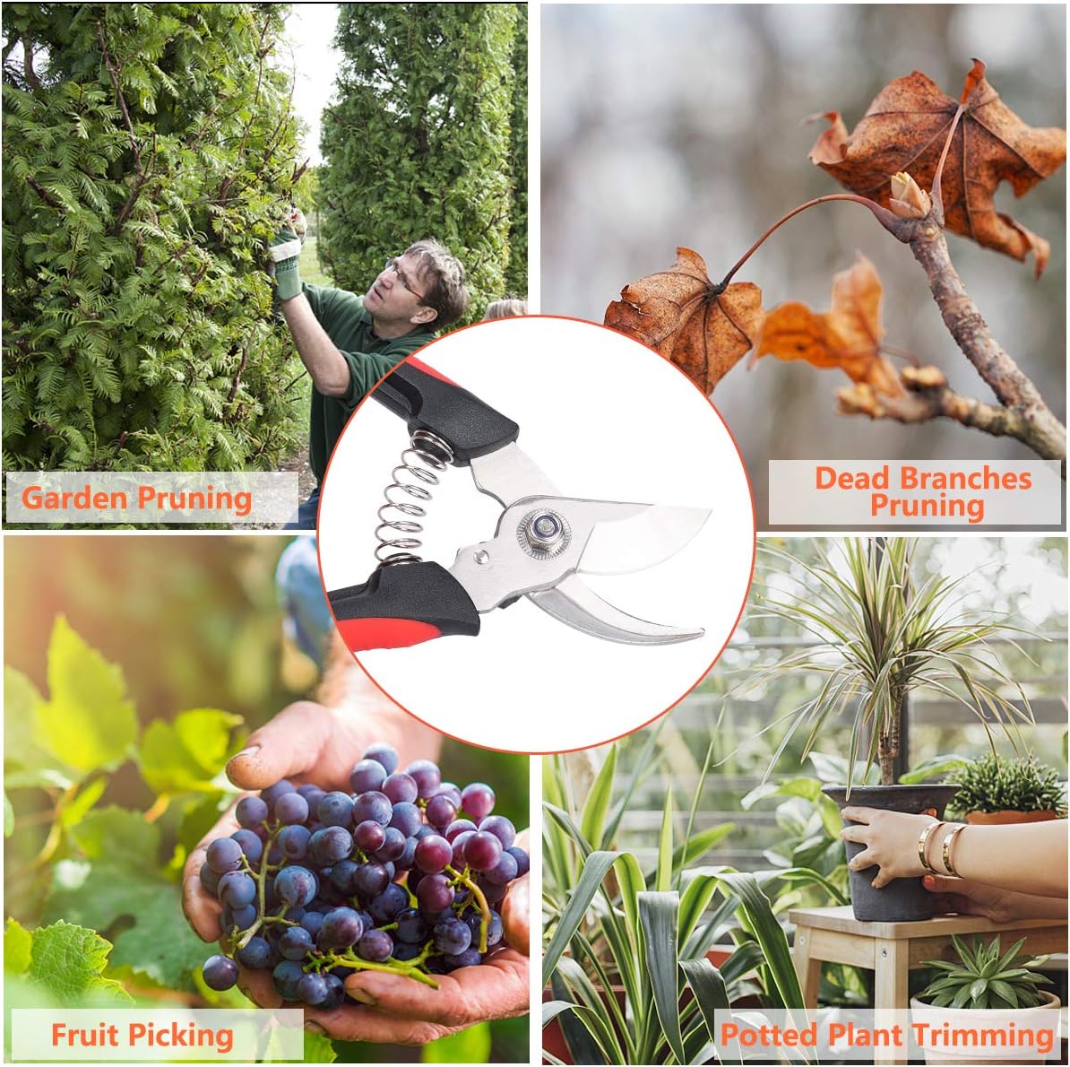 Pruning Shears, Professional Garden Branch Scissors Clippers Set, Bypass Gardening Hand Pruners Tools Kit, Stainless Steel Sharp Cutter Secateurs with Storage Bag, Garden Gloves : Patio, Lawn & Garden