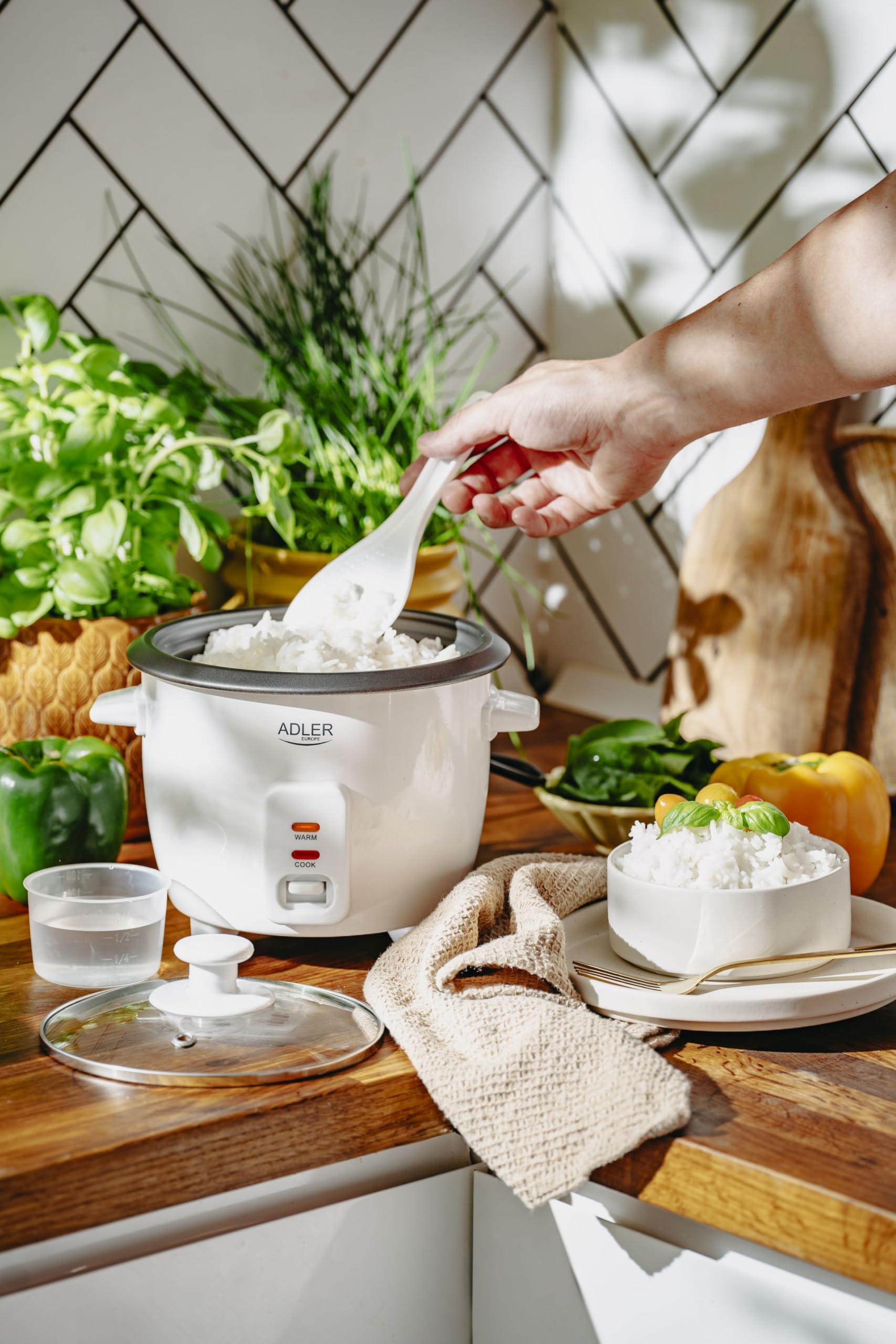 ADLER EUROPE Cuociriso 0,6 litri, funzione di mantenimento al caldo, pentola da giardino antiaderente, cucchiaio da riso e misurino, coperchio in vetro